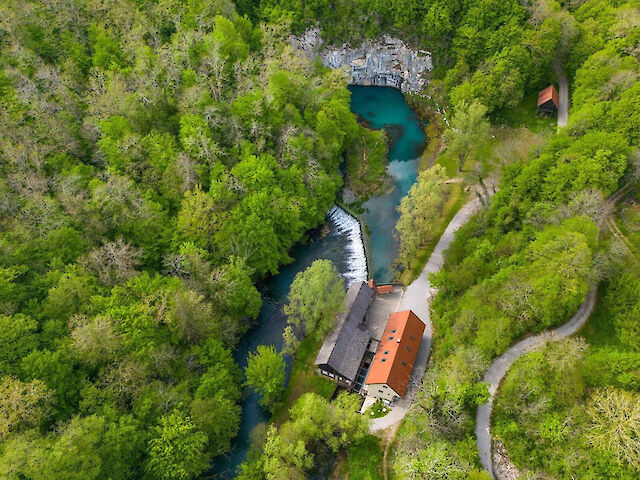 Gospod Hlupar