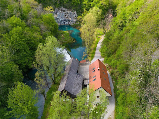 Krupa - Slovenian Beauty